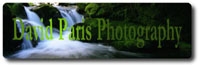 David Paris Photography